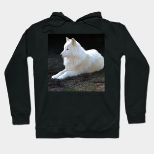 White wolf Hoodie